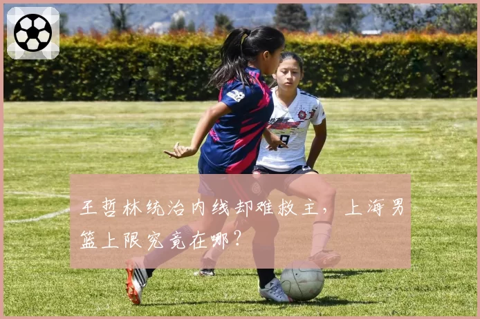 王哲林统治内线却难救主，上海男篮上限究竟在哪？