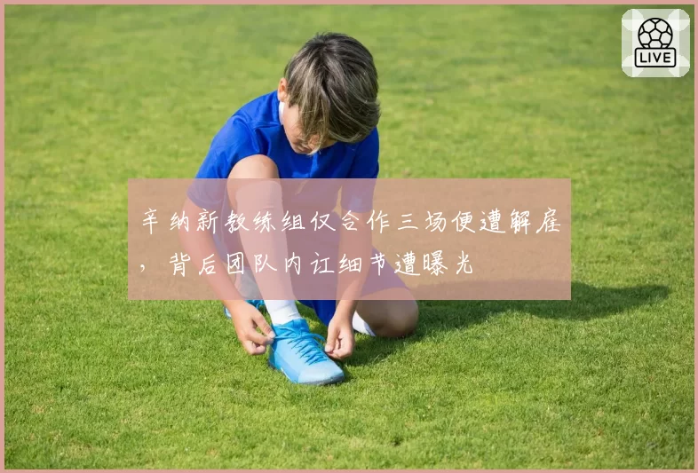 辛纳新教练组仅合作三场便遭解雇，背后团队内讧细节遭曝光