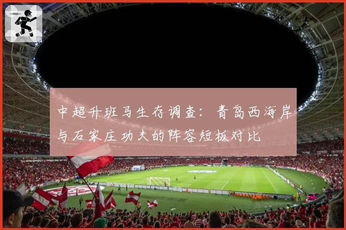 中超升班马生存调查：青岛西海岸与石家庄功夫的阵容短板对比