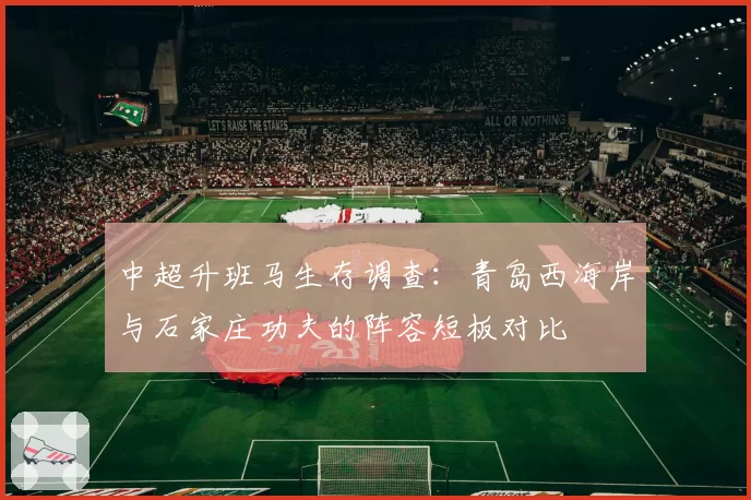 中超升班马生存调查：青岛西海岸与石家庄功夫的阵容短板对比