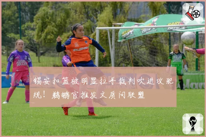 锡安扣篮被明显拉手裁判吹进攻犯规！鹈鹕官推发文质问联盟