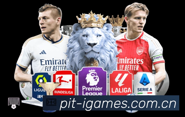 爱游戏平台展示图