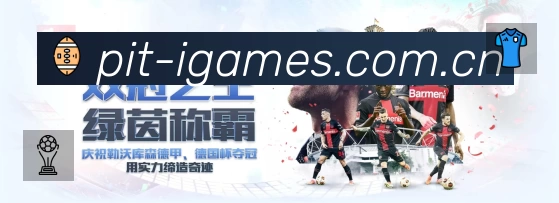 爱游戏服务价值